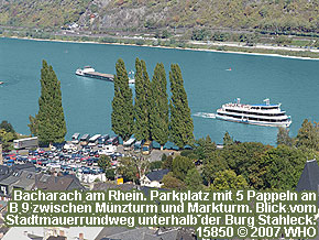 Bacharach am Rhein. Parkplatz mit 5 Pappeln an B 9 zwischen Münzturm und Marktturm. Blick vom Stadtmauerrundweg unterhalb der Burg Stahleck.