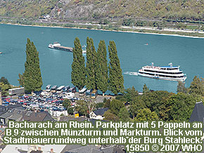 Bacharach am Rhein. Parkplatz mit 5 Pappeln an B 9 zwischen Mnzturm und Marktturm. Blick vom Stadtmauerrundweg unterhalb der Burg Stahleck.